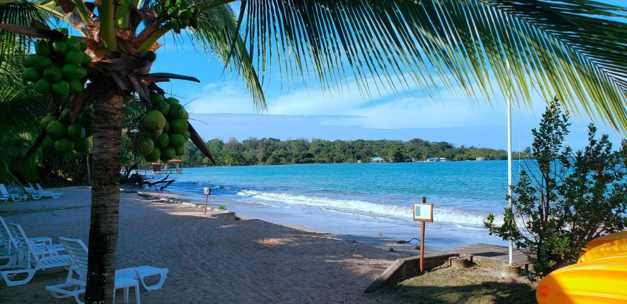 Playa Tortuga Hotel&Beach Resort Bocas Town Bagian luar foto