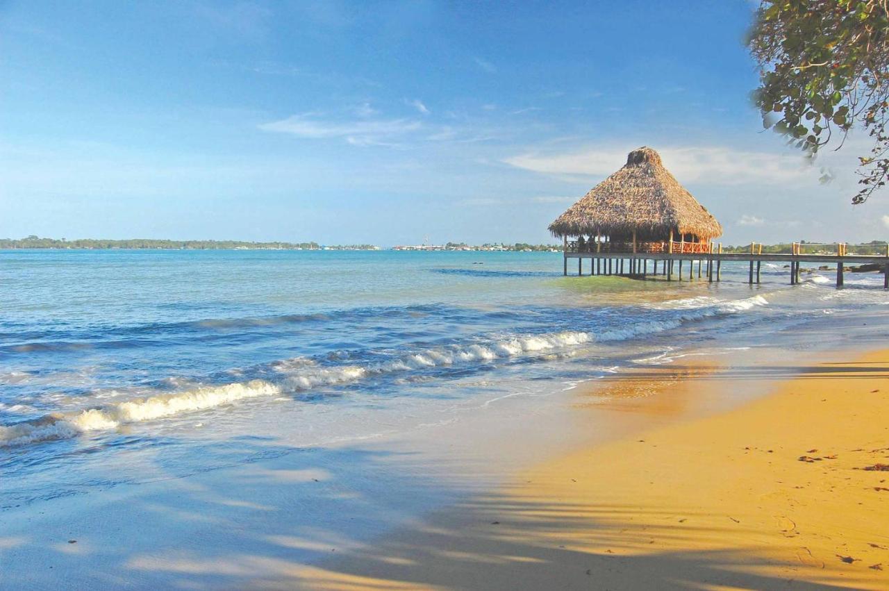Playa Tortuga Hotel&Beach Resort Bocas Town Fasilitas foto