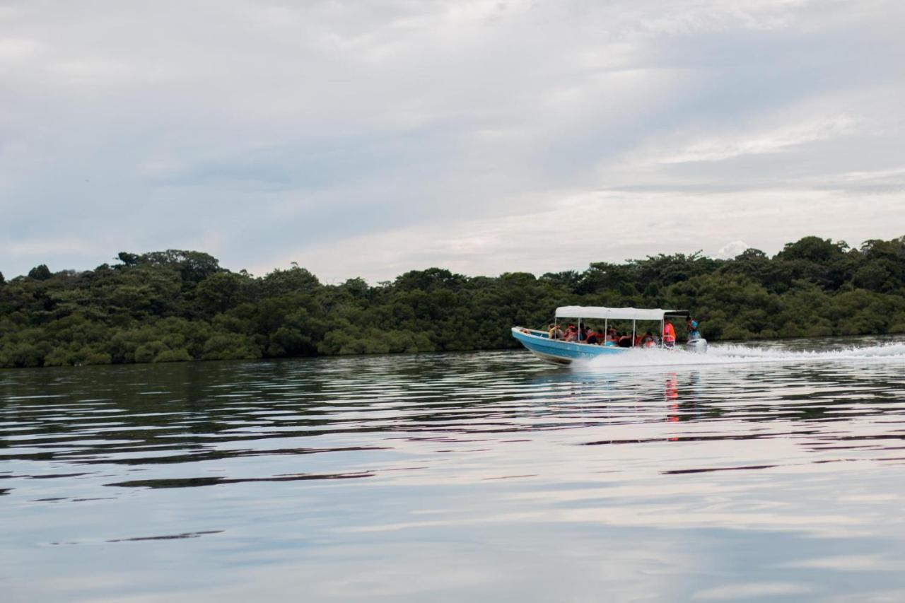 Playa Tortuga Hotel&Beach Resort Bocas Town Bagian luar foto