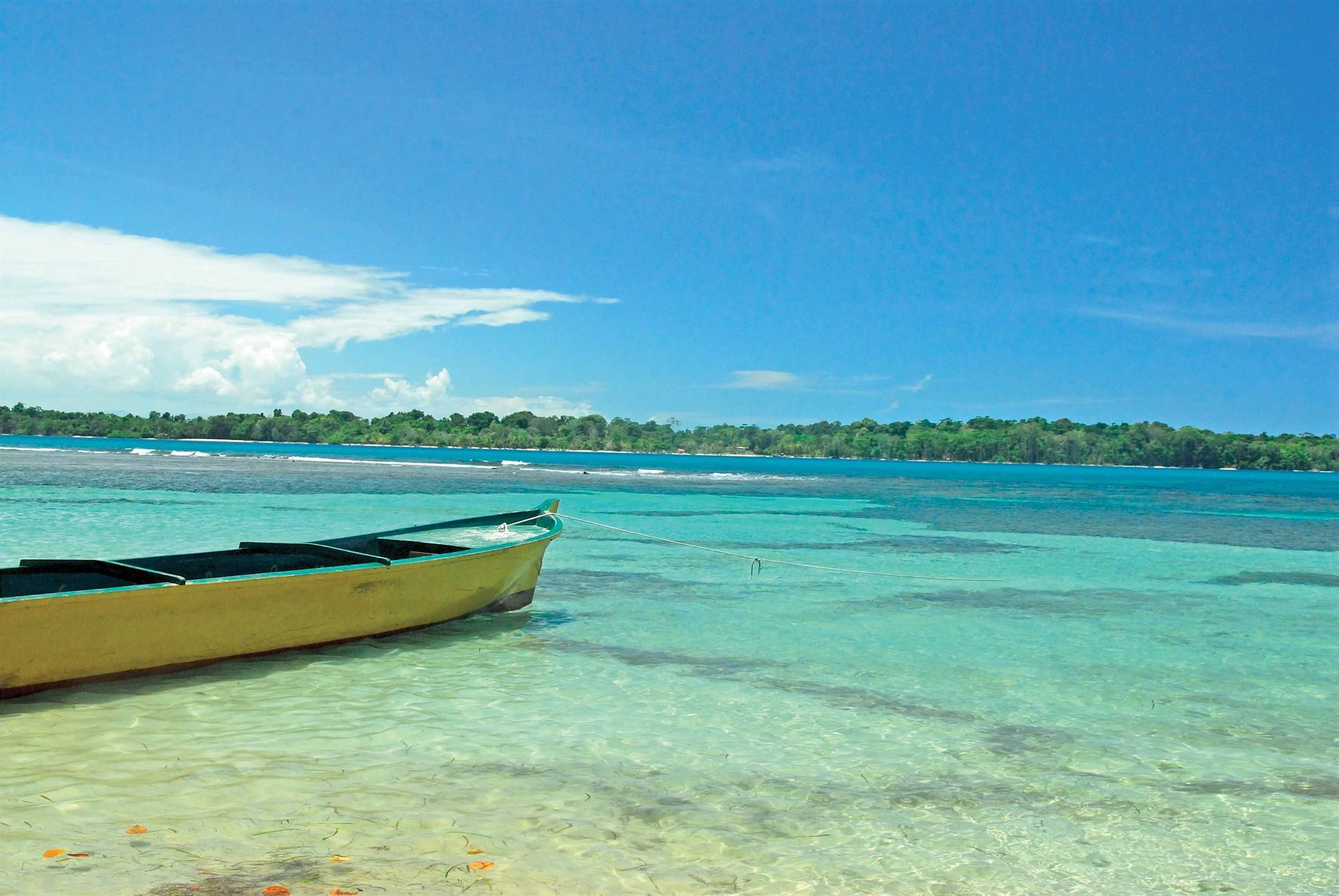 Playa Tortuga Hotel&Beach Resort Bocas Town Bagian luar foto